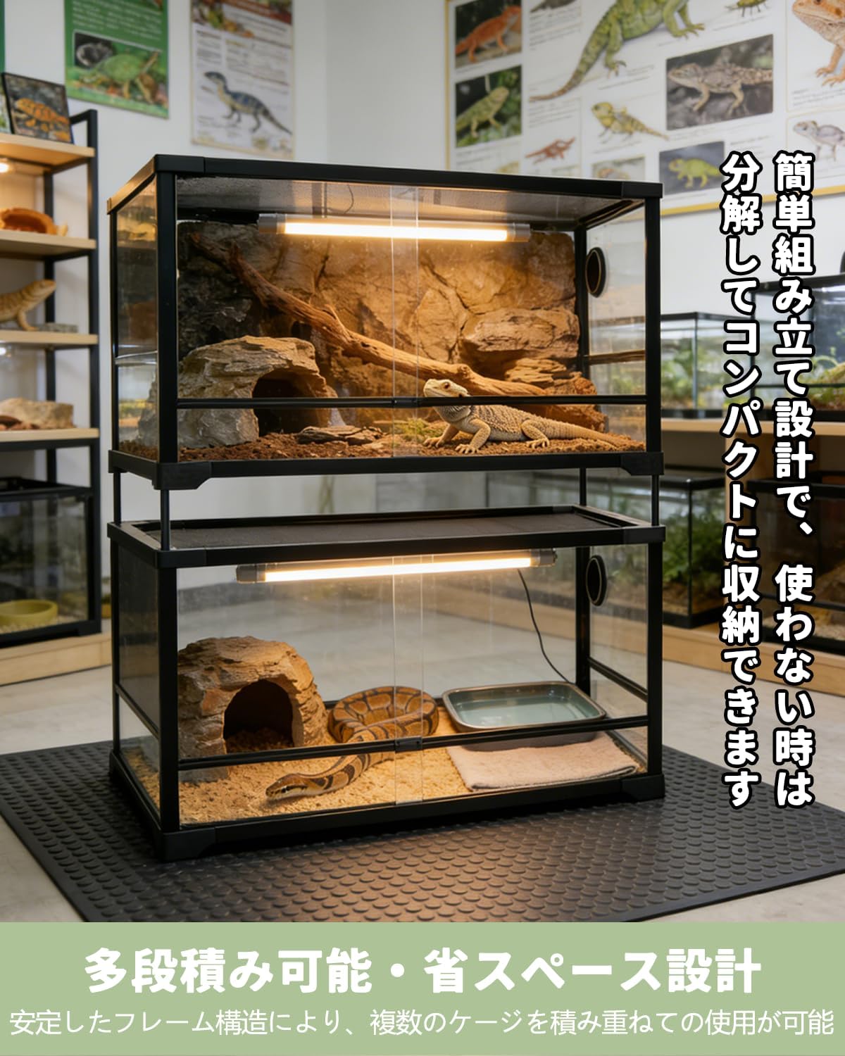 Amazon | Pekaro 爬虫類飼育ケージ 360 度全景観察 強化ガラス製 幅 80